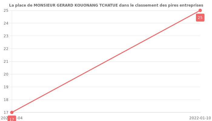 Avis sur MONSIEUR GERARD KOUONANG TCHATUE - position dans le classement des entreprises