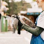 Comment devenir zoologiste ?