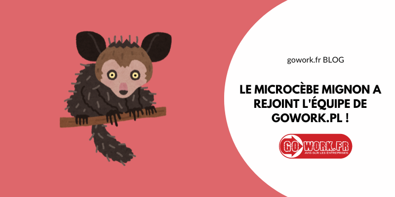 Le Microcèbe mignon, connu comme Mort dans l’animation populaire, a rejoint l’équipe de GoWork.pl !