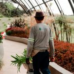 Comment devenir jardinier paysagiste ?