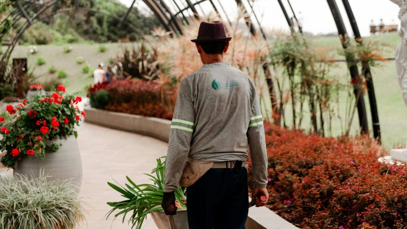 Comment devenir jardinier paysagiste ?