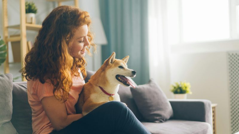 Comment devenir Pet Sitter ?