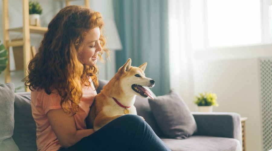 Comment devenir Pet Sitter ?