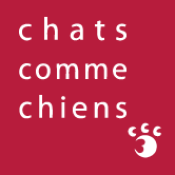 avis CHATS COMME CHIENS