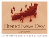 avis BRAND NEW DAY CONSULTING
