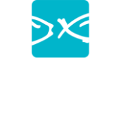 avis SEAFOOD CONNECTION