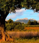 avis PROVENCE JUST FOR YOU