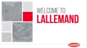 avis LALLEMAND AND LALLEMAND
