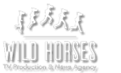 avis WILD HORSES