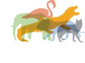 avis 200 PHOTOGRAPHIES POUR LA NATURE