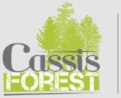 avis CASSIS FOREST